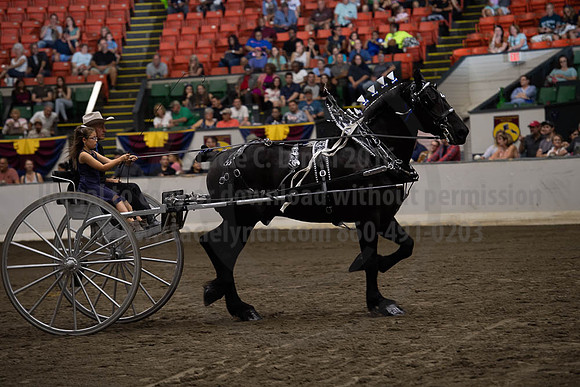 2019BigE_09282019_SCL_8964