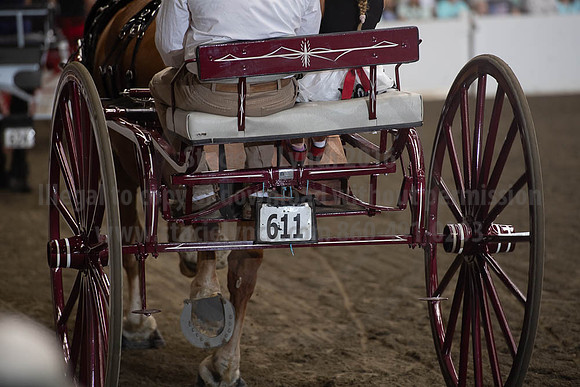 2019BigE_09282019_SCL_8966
