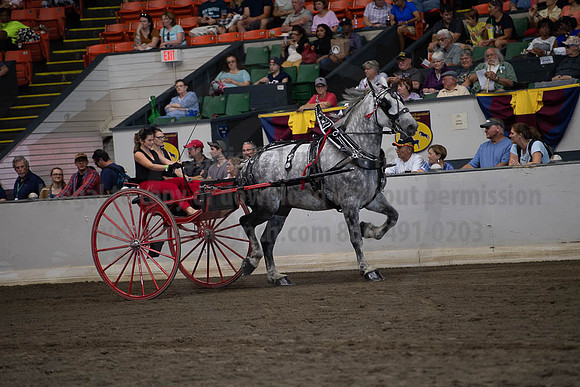 2019BigE_09282019_SCL_8967