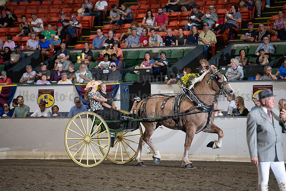 2019BigE_09282019_SCL_8973