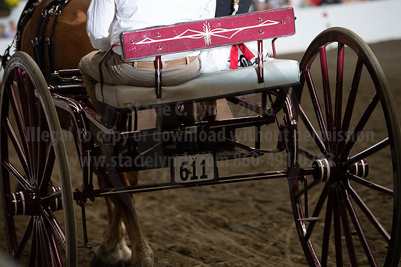 2019BigE_09282019_SCL_8974