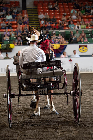 2019BigE_09282019_SCL_8977