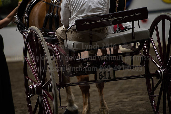 2019BigE_09282019_SCL_8981