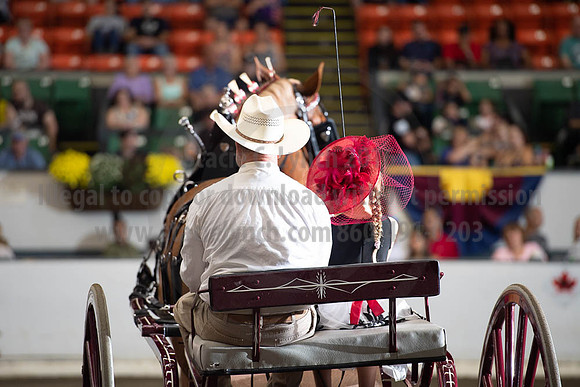 2019BigE_09282019_SCL_8980