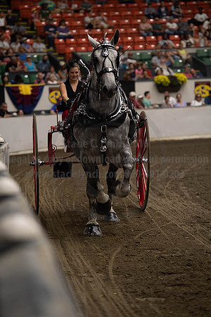 2019BigE_09282019_SCL_8988