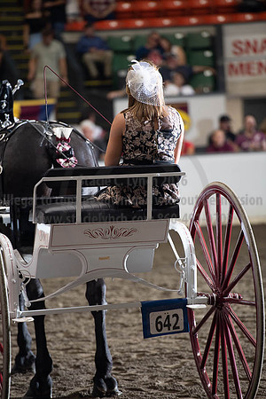 2019BigE_09282019_SCL_8993