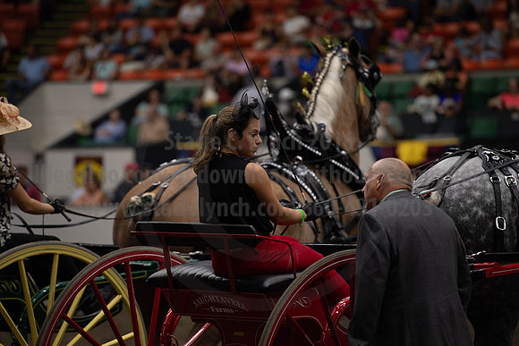 2019BigE_09282019_SCL_8995
