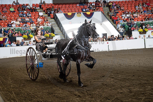 2019BigE_09282019_SCL_9004