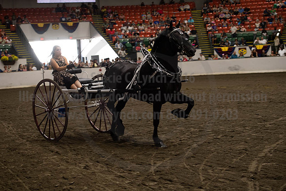 2019BigE_09282019_SCL_9006