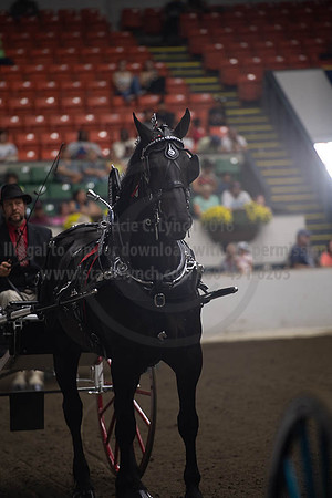 2019BigE_09282019_SCL_9009