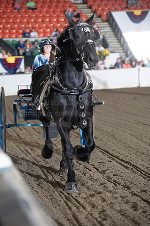 2019BigE_09282019_SCL_9011
