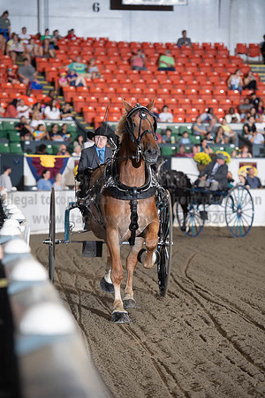 2019BigE_09282019_SCL_9013