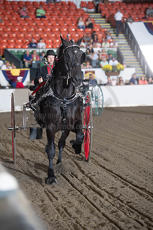 2019BigE_09282019_SCL_9016