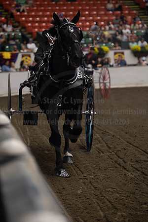2019BigE_09282019_SCL_9015