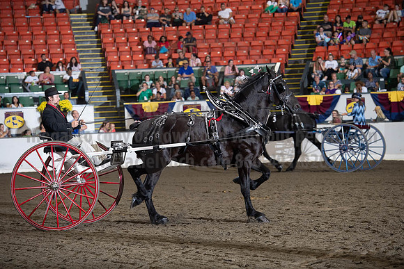 2019BigE_09282019_SCL_9020