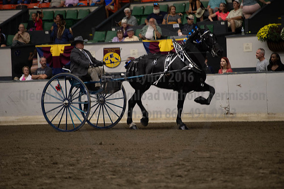 2019BigE_09282019_SCL_9025
