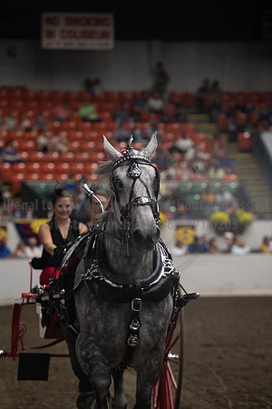 2019BigE_09282019_SCL_8989