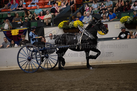 2019BigE_09282019_SCL_9028