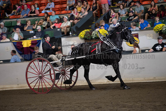 2019BigE_09282019_SCL_9032