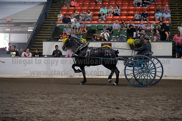 2019BigE_09282019_SCL_9008