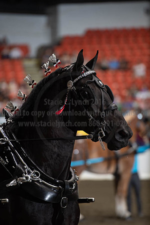 2019BigE_09282019_SCL_9039