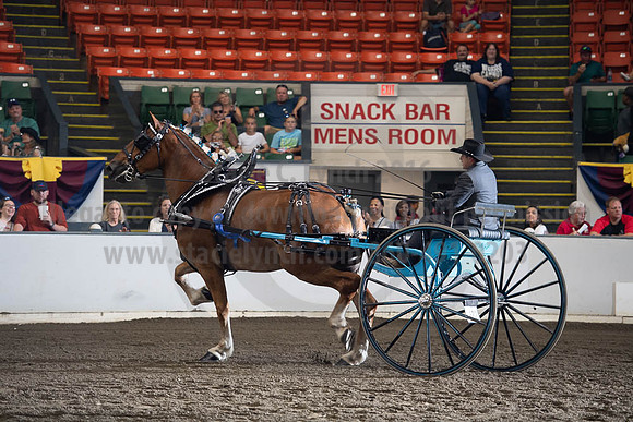 2019BigE_09282019_SCL_9041