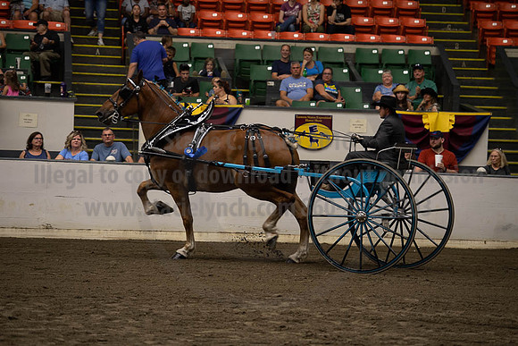 2019BigE_09282019_SCL_9043