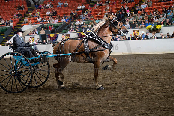 2019BigE_09282019_SCL_9047