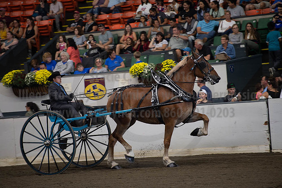 2019BigE_09282019_SCL_9029