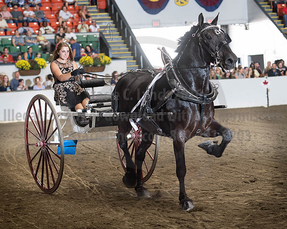 2019BigE_09282019_SCL_9004