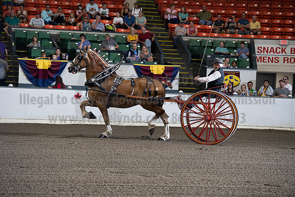 2019BigE_09292019_SCL_9438