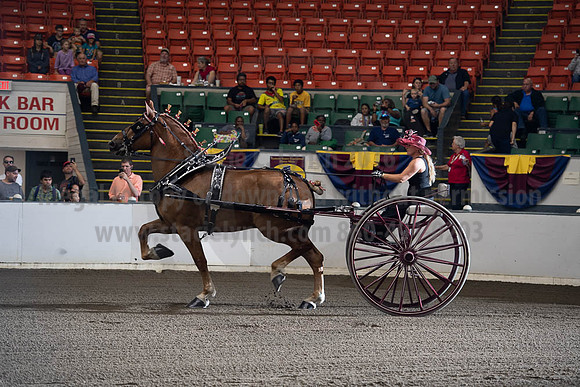 2019BigE_09292019_SCL_9439