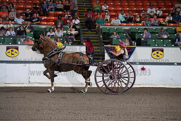2019BigE_09292019_SCL_9441