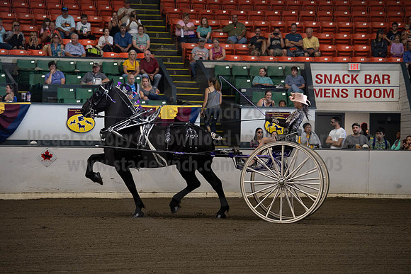 2019BigE_09292019_SCL_9443