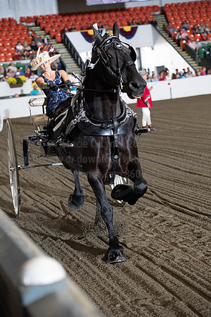 2019BigE_09292019_SCL_9446