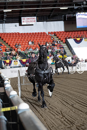 2019BigE_09292019_SCL_9447