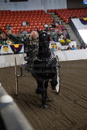 2019BigE_09292019_SCL_9448