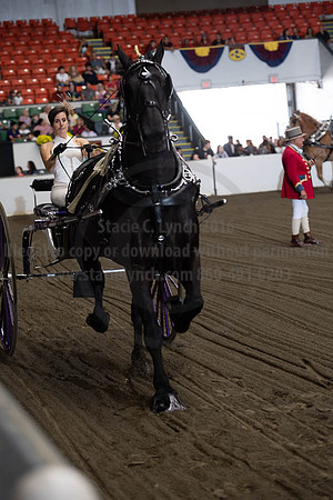 2019BigE_09292019_SCL_9449