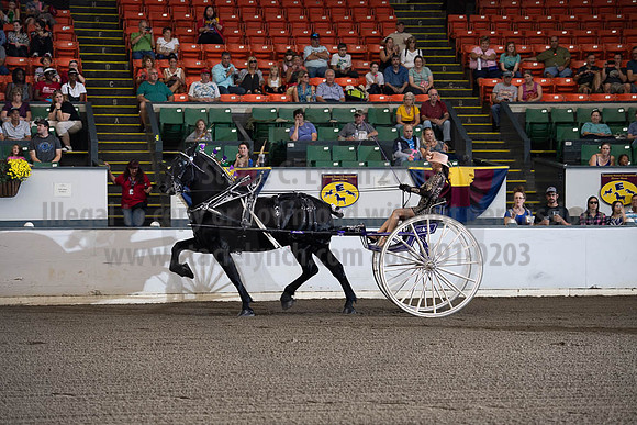 2019BigE_09292019_SCL_9451