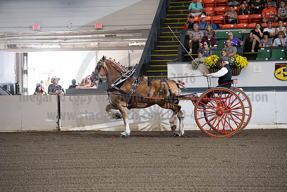 2019BigE_09292019_SCL_9453