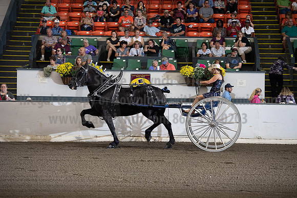 2019BigE_09292019_SCL_9455