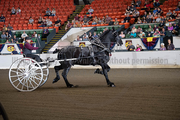 2019BigE_09292019_SCL_9464