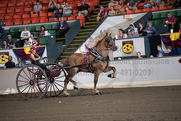 2019BigE_09292019_SCL_9467