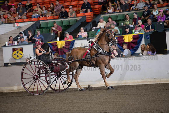 2019BigE_09292019_SCL_9468