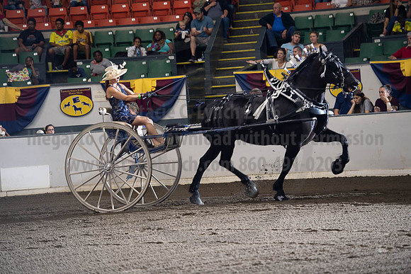 2019BigE_09292019_SCL_9480