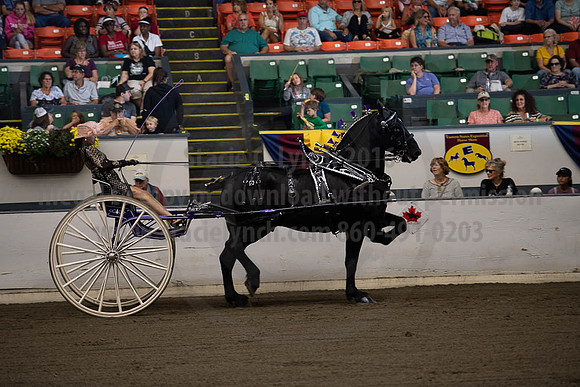 2019BigE_09292019_SCL_9481