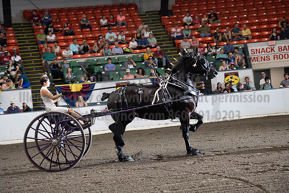 2019BigE_09292019_SCL_9485