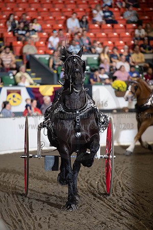 2019BigE_09292019_SCL_9496
