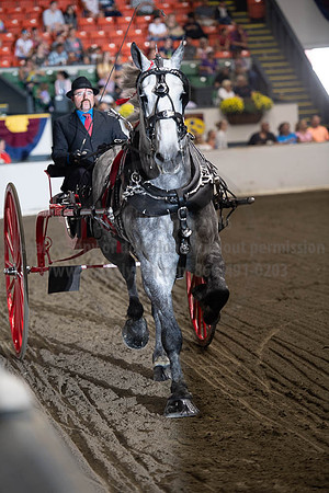 2019BigE_09292019_SCL_9501