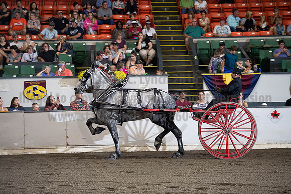 2019BigE_09292019_SCL_9502
